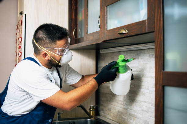 Best Emergency Pest Control  in Prosser, WA