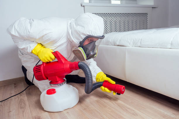 Best Termite Control Services  in Prosser, WA