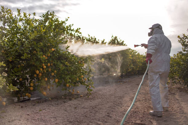  Prosser, WA Pest Control Pros