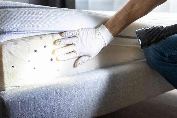 Best Pest Inspection Near Me  in Prosser, WA