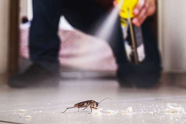 Wildlife Control Services in Prosser, WA
