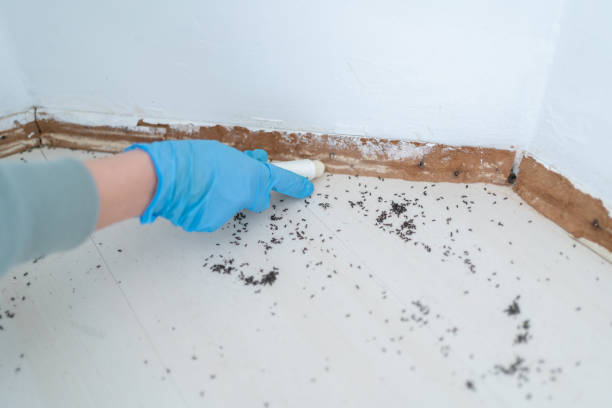 Best Residential Pest Control  in Prosser, WA