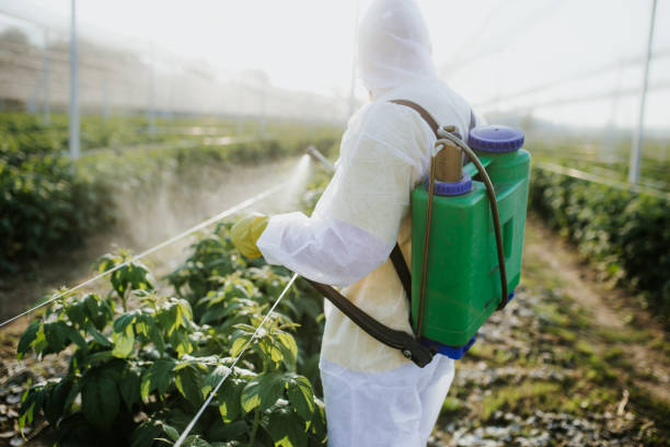 Best Commercial Pest Control Services  in Prosser, WA